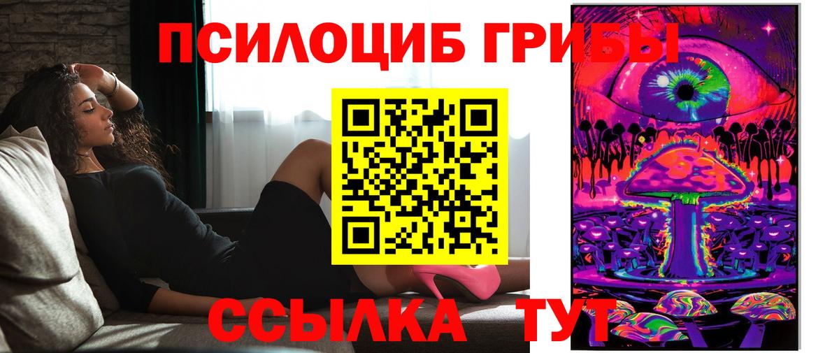 Псилоцибиновые грибы MAGIC MUSHROOMS  как найти   Шахты  Вход с VPN  Галлюциногенные грибы прущие грибы 